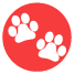 Animaux
