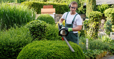 Jardinage