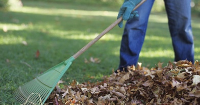 ENTRETIEN DU JARDIN